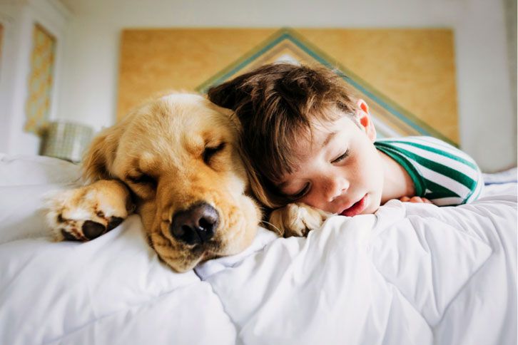 Noise reducing doors & windows